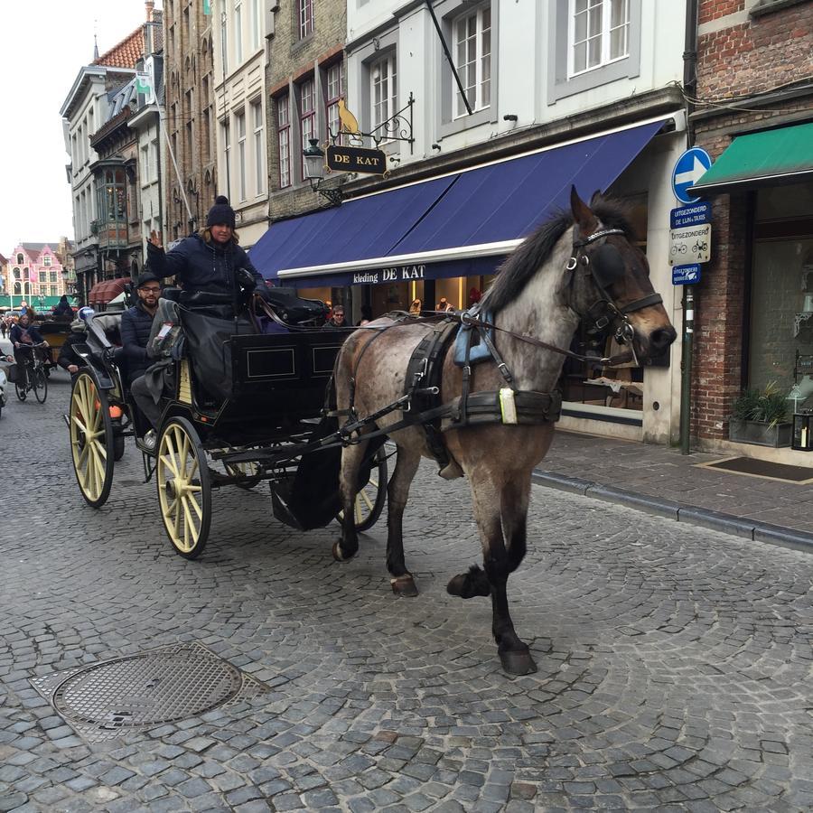 Hotel Prelude Knesselare Bagian luar foto